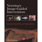 C Weisse: Veterinary Image-Guided Interventions