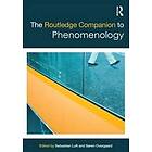 Sebastian Luft, Soren Overgaard: The Routledge Companion to Phenomenology