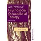 Linda Finlay: The Practice of Psychosocial Occupational Therapy