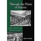 Dale W Tomich: Through the Prism of Slavery