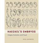 Nick Hopwood: HAECKEL'S EMBRYOS IMAGES, EVOLUTION, AND FRAUD