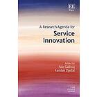 Faiz Gallouj, Faridah Djellal: A Research Agenda for Service Innovation