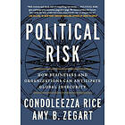 Condoleezza Rice: Political Risk