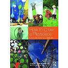 Katherine Masiulanis, Elizabeth Cummins: How to Grow a Playspace