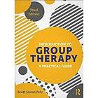 Scott Simon Fehr: Introduction to Group Therapy