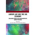 Jo Carby-Hall, Lourdes Mella Mendez: Labour Law and the Gig Economy