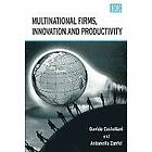 Davide Castellani, Antonello Zanfei: Multinational Firms, Innovation and Productivity