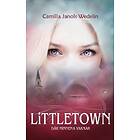 Camilla Janols Wedelin: Littletown där minnena vaknar
