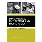 Jane Millar, Karen Rowlingson: Lone parents, employment and social policy