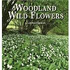 Alan Waterman: Woodland Wild Flowers