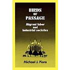 Michael J Piore: Birds of Passage