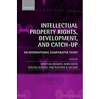 Hiroyuki Odagiri: Intellectual Property Rights, Development, and Catch Up