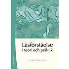 Ivar Bråten: Läsförståelse i teori och praktik