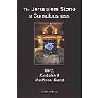 Joel David Bakst: The Jerusalem Stone of Consciousness: DMT, Kabbalah and the Pineal Gland