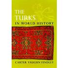 Carter V Findley: The Turks in World History