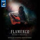 Ignacio Lusardi Monteverde - Flamenco Pasado Y Presente CD