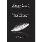 Kimberly Grey: Ascendant: The lines of battle are drawn in black and white