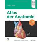 Frank H Netter: Atlas der Anatomie