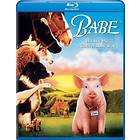 Babe (US) (Blu-ray)