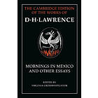 D H Lawrence: Mornings in Mexico and Other Essays