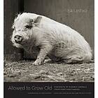 Isa Leshko: Allowed to Grow Old