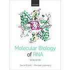 David Elliott: Molecular Biology of RNA