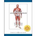 Judith Stone: Atlas of Skeletal Muscles