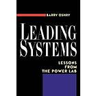 Barry Oshry: Leading Systems