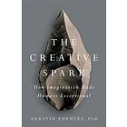 Agustin Fuentes: The Creative Spark