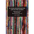 Jule Mulder: EU Non-Discrimination Law in the Courts