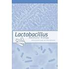 Asa Ljungh, Torkel Wadstrom: Lactobacillus Molecular Biology