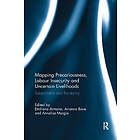 Emiliana Armano, Arianna Bove, Annalisa Murgia: Mapping Precariousness, Labour Insecurity and Uncertain Livelihoods