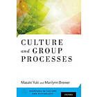 Masaki Yuki: Culture and Group Processes