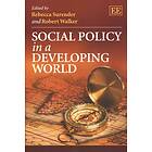 Rebecca Surender, Robert Walker: Social Policy in a Developing World