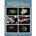 Dorothy J Callaway: The World of Magnolias