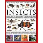 Martin Walters: The Illustrated World Encyclopaedia of Insects