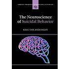 Kees van Heeringen: The Neuroscience of Suicidal Behavior