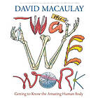 David MacAulay: Way We Work