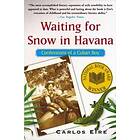 : Waiting for Snow in Havana