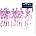 Wooden Shjips - Volume 1 LP