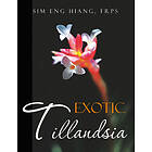 Eng Hiang Frps Sim: Exotic Tillandsia