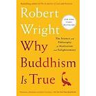 Robert Wright: Why Buddhism is True