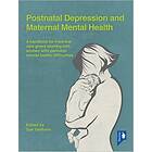 Sue Gellhorn: Postnatal Depression and Maternal Mental Health