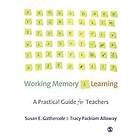 Susan Gathercole: Working Memory and Learning