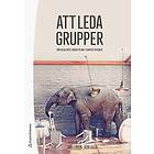 Josi Lundin, Rein Lallo: Att leda grupper När resultatet beror på bra teamprestationer