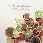 The Wonder Years - Burst & Decay LP