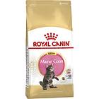 Royal Canin Breed Maine Coon 36 Kitten 10kg