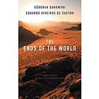 D Danowski: The Ends of the World
