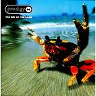 The Prodigy - Fat Of Land LP