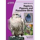 J Chitty: BSAVA Manual of Raptors, Pigeons and Passerine Birds